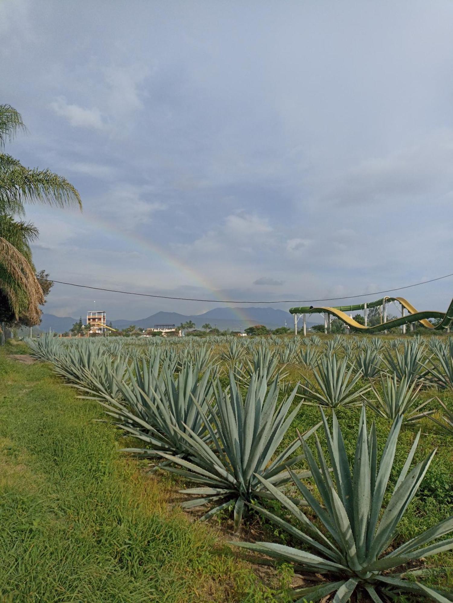 Don Pedrillo Hotel Oaxaca Buitenkant foto